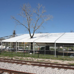 Custom Tent Installation Around Tree